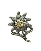GERMAN EDELWEISS METAL HAT DEVICE
